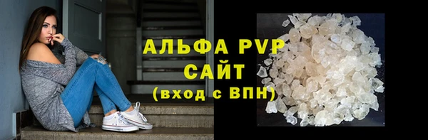 хмурый Тайга