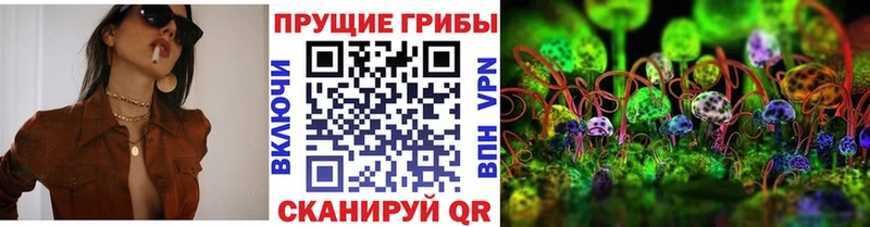 Купить  Усинск  Галлюциногенные грибы MAGIC MUSHROOMS 